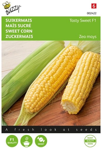 Suikermais Tasty Sweet F1 - Buzzy