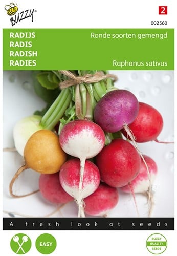 Radijs Ronde soorten gemengd - Buzzy