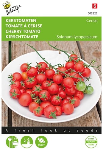 Kerstomaat Cerise - Buzzy