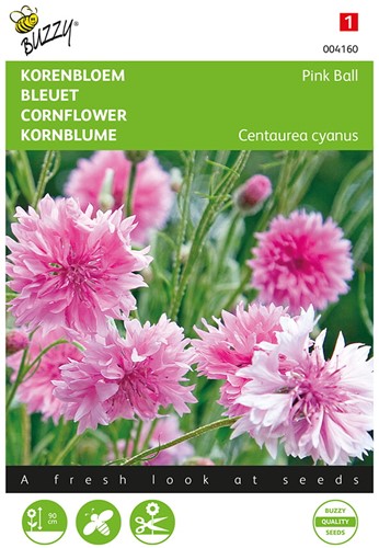 Korenbloem Pink Ball - Buzzy