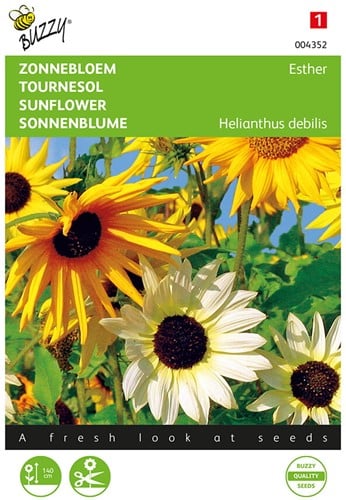 Zonnebloem Esther gemengd - Buzzy