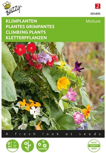Klimplanten Mengsel - Buzzy