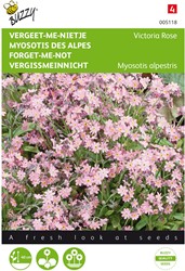 Vergeet-me-nietje Victoria Rose - Myosotis pink