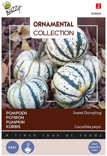 Wintersquash Sweet Dumpling - Ornamental Collection