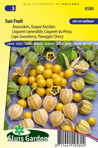 Ananaskers Sun Fruit - Physalis edulis