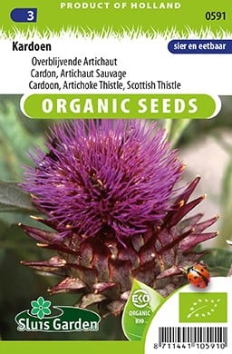 Kardoen EKO - Cynara Cardunculus