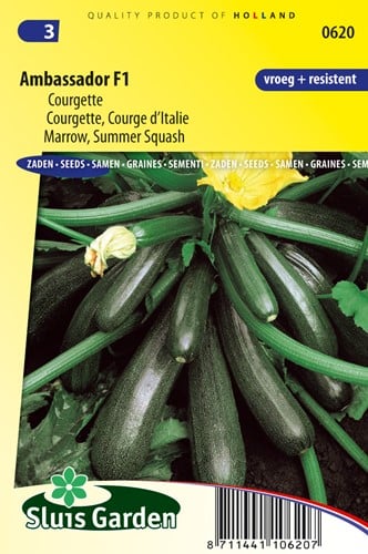Courgette Ambassador F1
