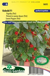 Potpaprika Kobold F1 PATIO