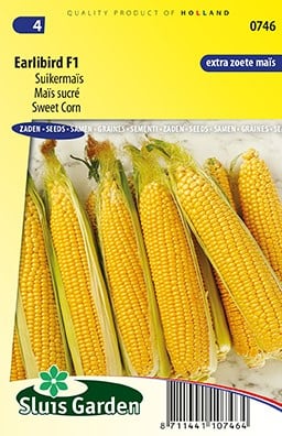 Suikermaïs Earlibird F1 - Zea Mays