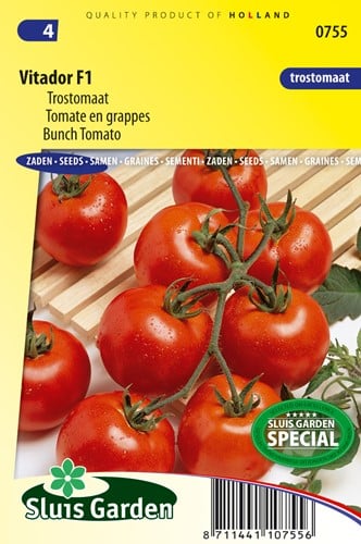 Tomaat Vitador F1 - Trostomaat