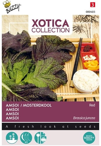 Amsoi of Mosterdkool Red - Xotica Collection