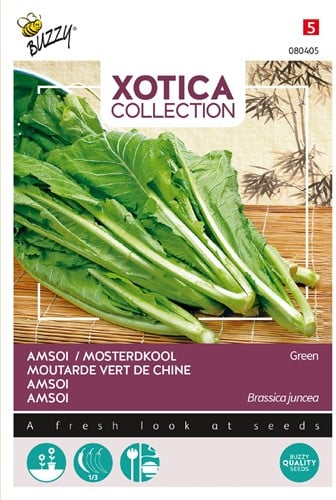 Amsoi of Mosterdkool Groen - Xotica Collection