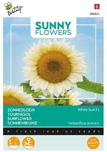 Zonnebloem White Sun F1 - Sunny Flowers
