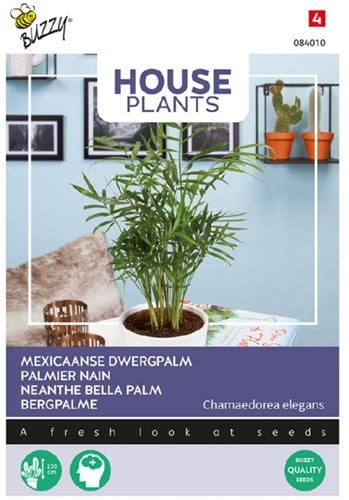 Mexicaanse Dwergpalm - Buzzy House Plants