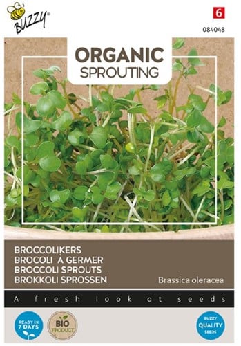 Organic Sprouting Broccolikers - Buzzy 