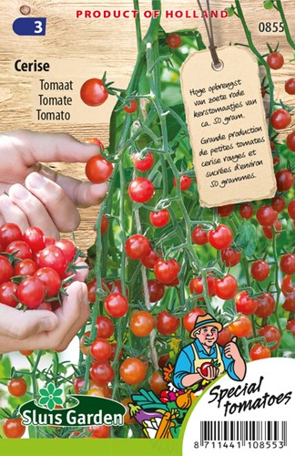 Tomaat Cerise