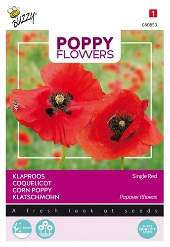 Klaproos Rood - Buzzy Poppy Flowers