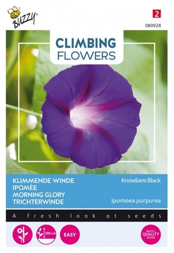 Klimmende Winde Knowlians Black - Climbing Flowers