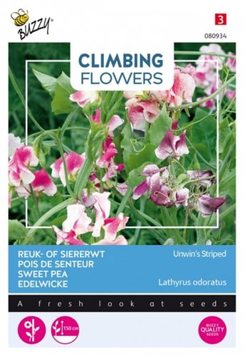 Reuk- of Siererwt Unwin's Striped - Climbing Flowers