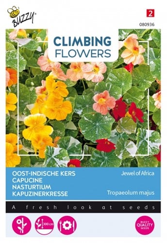 Oost-Indisch Kers / Tropaeolum Jewel of Africa - Climbing Flowers