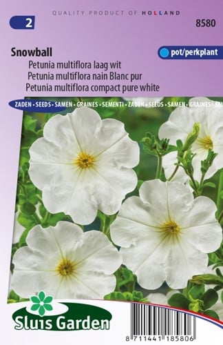 Petunia Multiflora Snowball