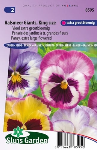 Viooltje Aalsmeer Giants, King Size - Viola Wittrockiana