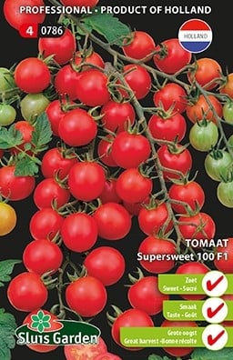 Tomaat Supersweet 100 F1 - Lycopersicon
