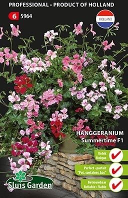 Tuingeranium Summertime F1 - Pelargonium