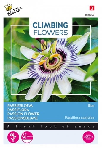 Passiebloem Blue - Climbing Flowers