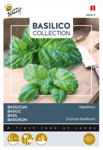 Basilicum Napolitano - Basilico Collection
