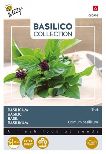 Basilicum Siam of Thai - Basilico Collection