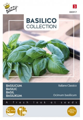 Basilicum Italiano Classico - Basilico Collection