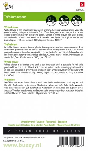 Groenbemester Witte Klaver / 100 gr - 100 m2-2