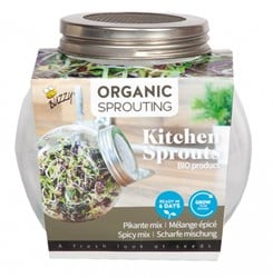 Organic Sprouting glazenpot - Pikante Salade