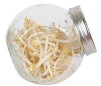 Organic Sprouting glazenpot - Tauge-2