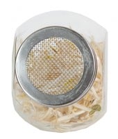 Organic Sprouting glazenpot - Tauge-3