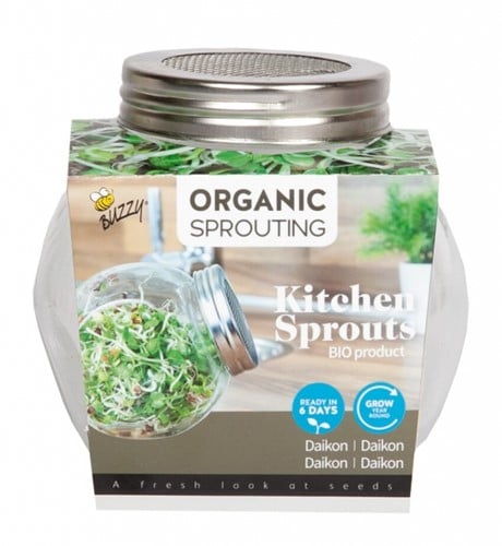 Organic Sprouting glazenpot - Daikon