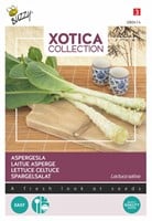 Aspergesla of Stengsla - Xotica Collection