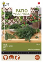 Dille Nano - Buzzy Patio Vegetables