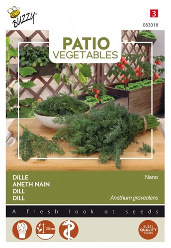 Dille Nano - Buzzy Patio Vegetables