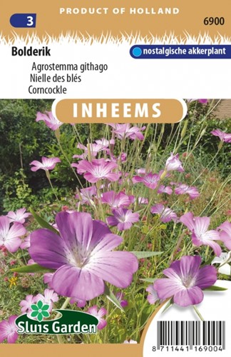Bolderik - Agrostemma githago