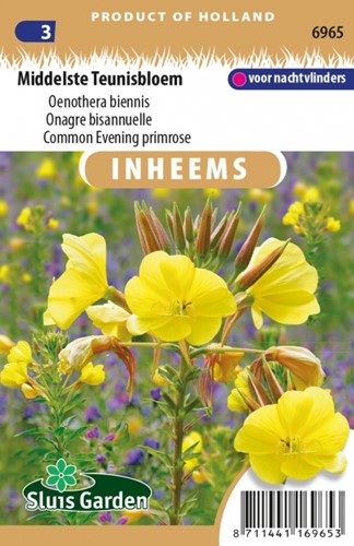 Middelste Teunisbloem - Oenothera biennis