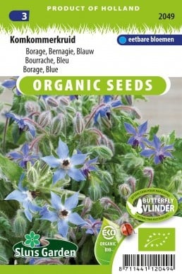 Borage Blauw EKO - Borago officinalis