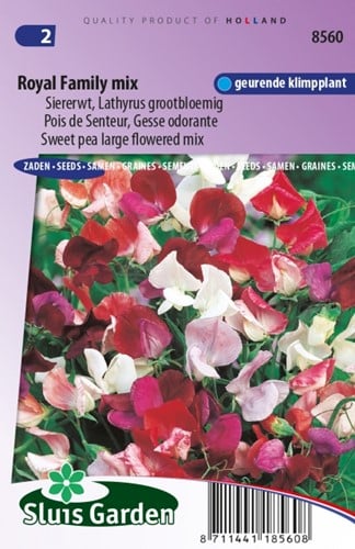 Siererwt Royal Family Mix – Lathyrus Odoratus