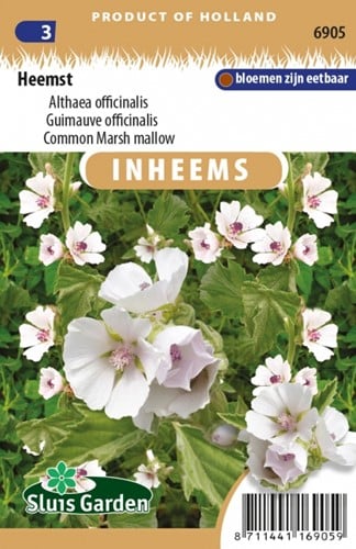 Heemst - Althaea officinalis