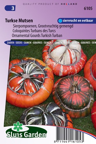 Cucurbita Turkse Muts Grote Vruchten