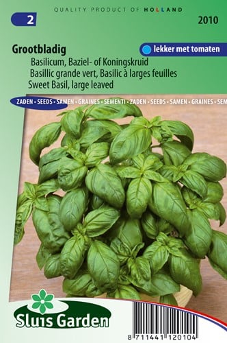 Basilicum Grove - Ocinum