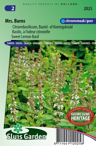 Basilicum Citroen Mrs. Burns - Ocimum Citrodorum