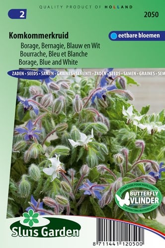 Borage Blauw en wit (Borago officinalis)