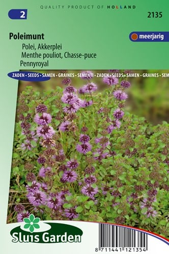 Poleimunt Mentha pulegium